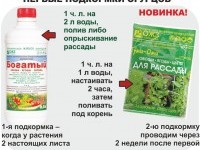 ОГУРЦЫ ПО СИСТЕМЕ ОЖЗ. ОХ, И УРОЖАЙ ВАС ЖДЕТ…