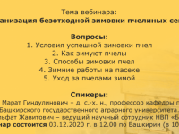 Вебинар: «Организация безотходной зимовки пчелиных семей»
