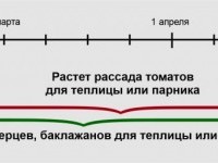 Древний инстинкт 5: ПИКИРОВАНИЕ