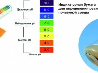 КАК ПОЛУЧИТЬ УРОЖАЙ ДО 3 РАЗ БОЛЬШЕ С БИОПРЕПАРАТАМИ И ПРИРОДНОЙ ТЕХНОЛОГИЕЙ ОЖЗ