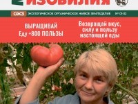 Номер 138
